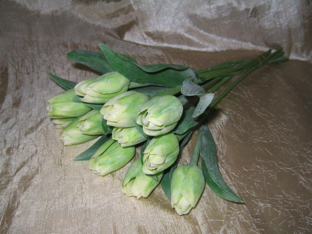 Tulipány zelené