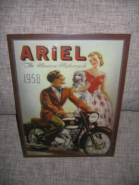 Plechová cedule Ariel 